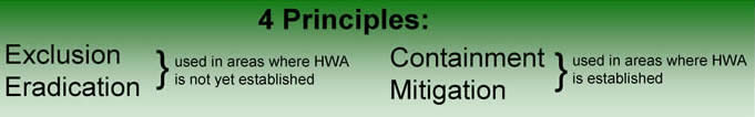 Four Management Principles: Exclusion and Eradication used where HWA is not established and Containment and Mitigation used where HWA is established