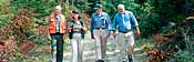 Group of people walking on a trail through the woods