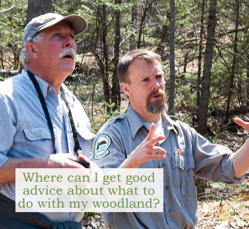 Where can I get good advice about what to do with my woodland? Maine Forest Service District Forester, Morten Moesswilde (right) giving advice to a landowner. Photo credit: Marc Loiselle