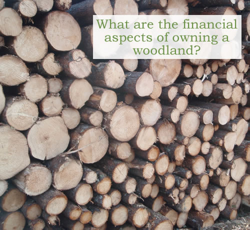 What are the financial aspects of owning a woodland? The ends of a stack of logs. Photo credit: Jake Metzler