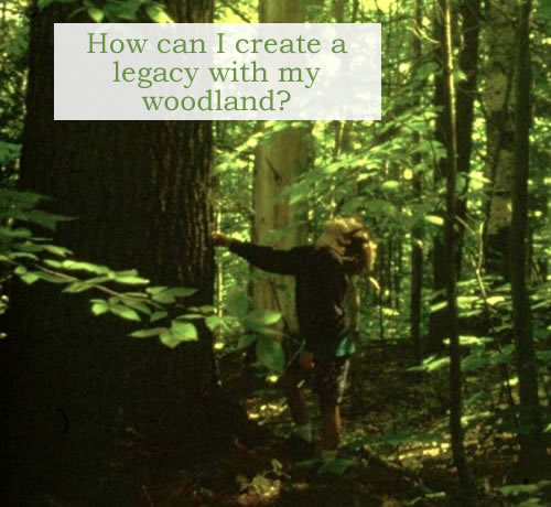 How can I create a legacy with my woodland? Mature forests such as the Kennebec Land Trusts Mount Pisgah Conservation Area in Winthrop and Wayne support a diversity of plants and wildlife. They are also important research sites and are valued for their scenic beauty. Photo credit: Jym St. Pierre