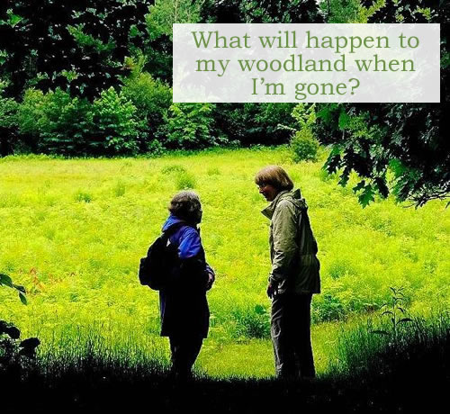 What will happen to my woodland when Im gone? Two people standing on the edge of a forest that opens into a field. Photo credit: Joe Phelan, Kennebec Journal