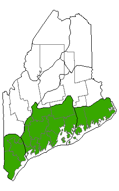map showing distribution of Rose Maritime Shrubland in Maine