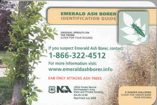 EAB transit card
