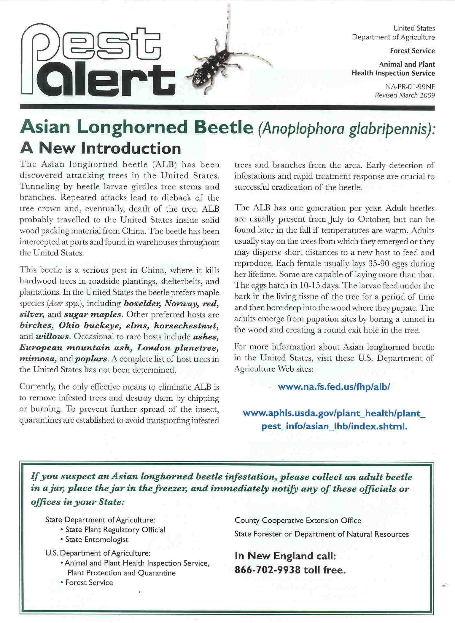 Pest Alert: Asian Longhorned Beetle (8-1/2" x 11")