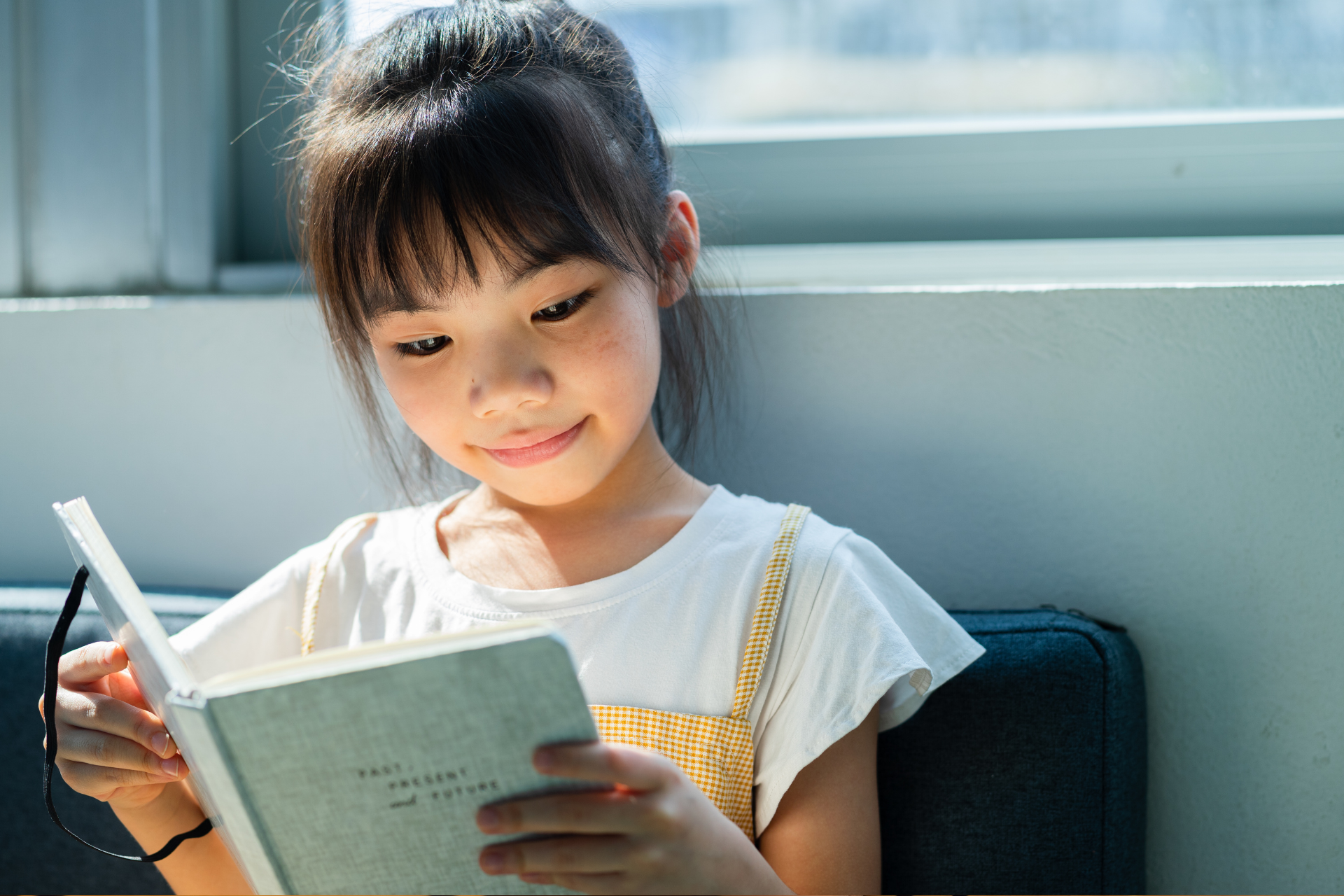 Literacy for ME Plan Details