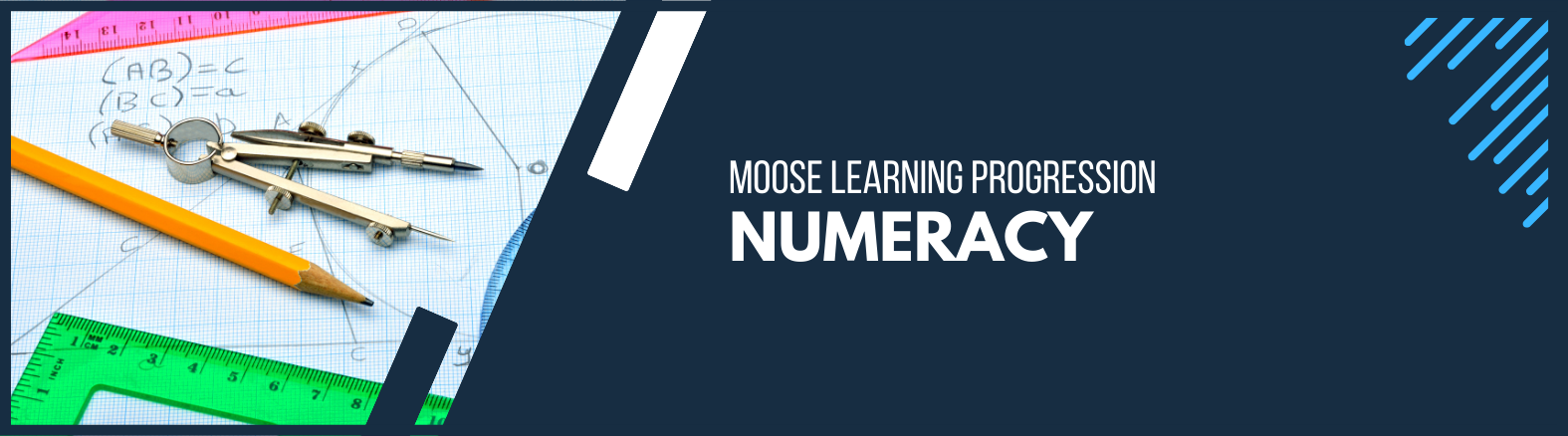 MOOSE Learning Progression banner