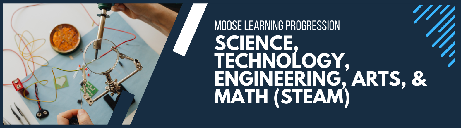 MOOSE Learning Progression banner
