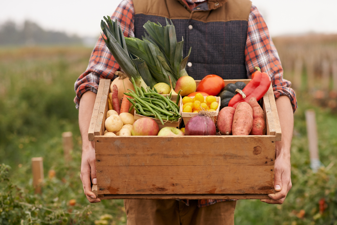 Farm and Sea to School banner